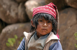 Pérou 2008